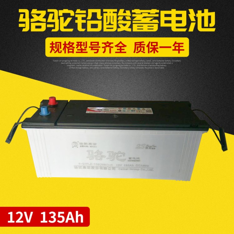 6-QW-135駱駝牌蓄電池 12V13h卡車電瓶批發(fā) 免維護(hù)電動(dòng)車蓄電池