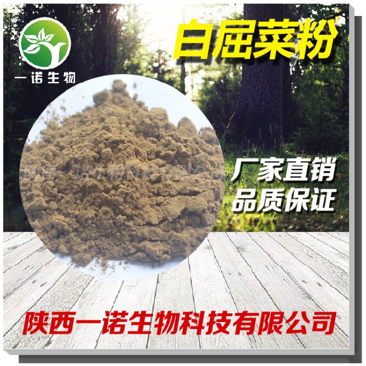 白屈菜粉 99.9% 白屈菜生粉 博落回粉 廠家直銷 白屈菜粉 包郵