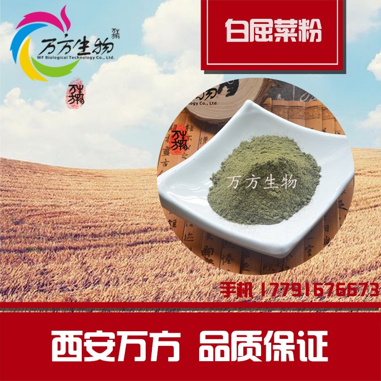 白屈菜粉 白屈菜 白屈菜生粉99.9%   廠家現(xiàn)貨 量大從優(yōu)