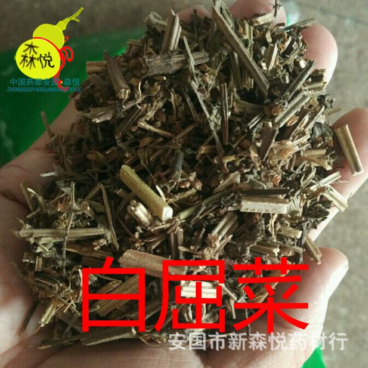 白屈菜 批發(fā)冷背中藥材 山黃連 土黃連 牛金花 八步緊 專