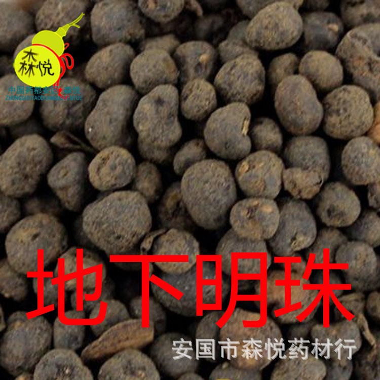 地下明珠 批發(fā)冷背中藥材 落地珍珠 陳傷子 茅膏菜根 專 