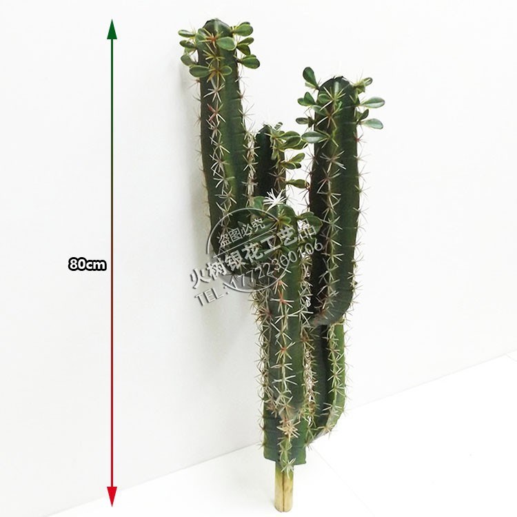 植物墻仿真仙人掌葉人造仿真墨西哥仙人球仙人柱廠家直銷批發(fā)