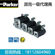 美國派克PARKER防爆伺服電機EX310