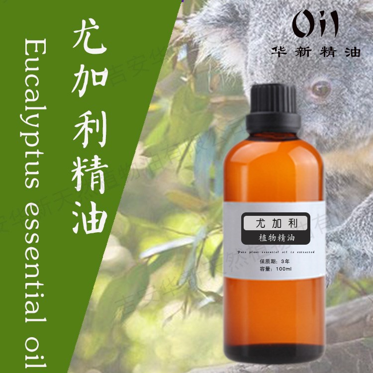 桉叶油尤加利精油净化空气净化肌肤驱虫单方精油香薰100ML