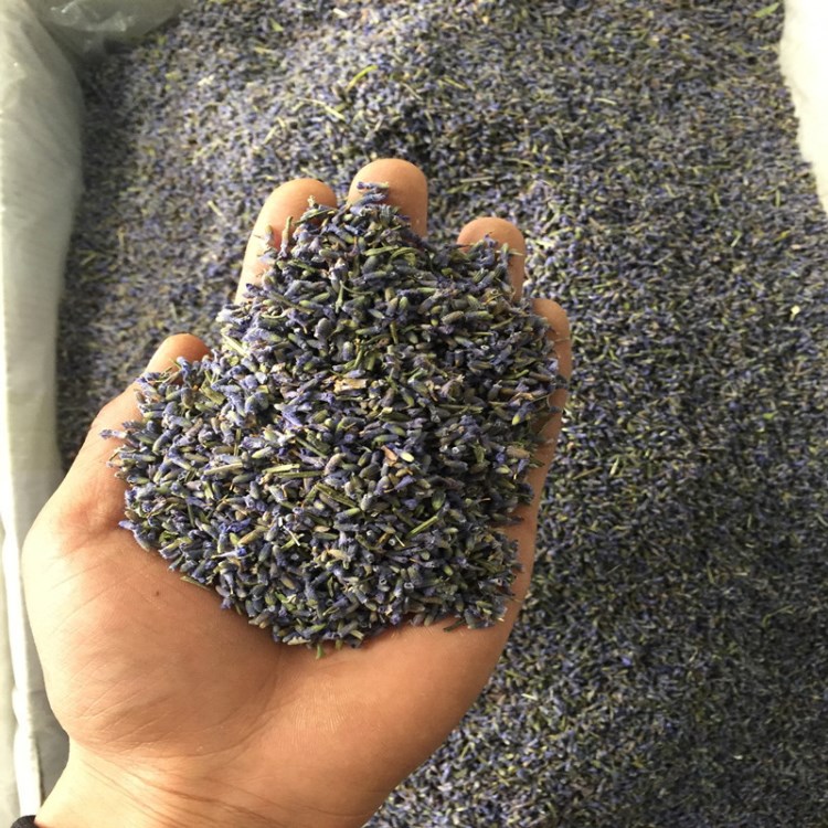 批发花草茶薰衣草干花散装花茶专用供应量大从优