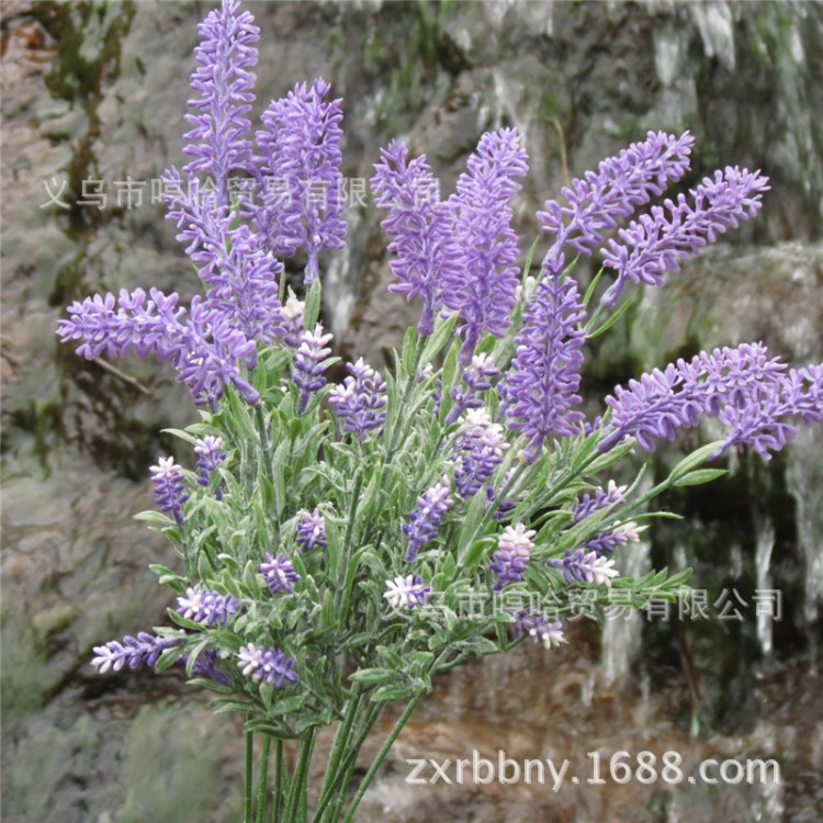 薰衣草 塑料花植物墻 干花噴霧花 植物墻裝飾批發(fā)