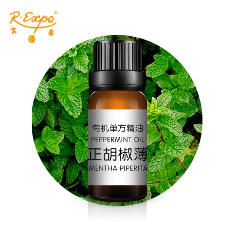 【样品】真正胡椒薄荷精油 印度欧薄荷精油 原料批发