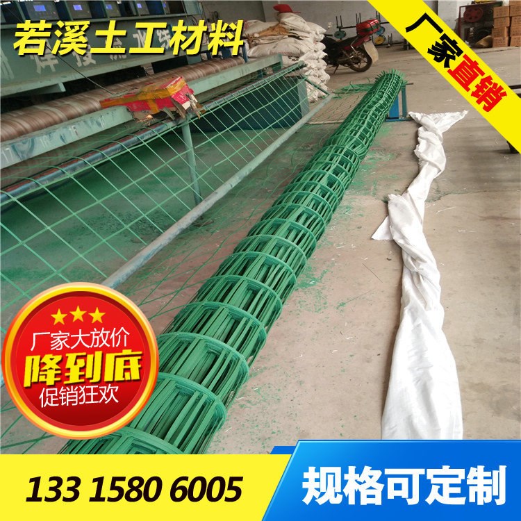 重慶綦江區植物攀爬綠色鋼塑格柵 綠色鋼塑土工格柵廠家批發