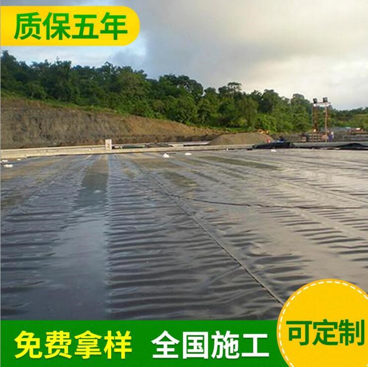 升力環(huán)保土工膜 藕池魚塘防滲膜 HDPE防水板 復(fù)合土工膜廠家