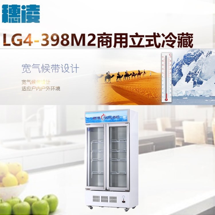 穗凌 LG4-398M2商用立式冷藏 飲料鮮花展示陳列柜 雙門冷柜冰柜