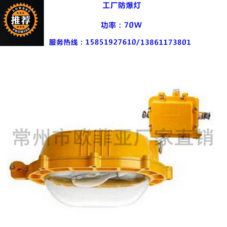 70W工廠防爆燈 金鹵工廠防爆燈燈具