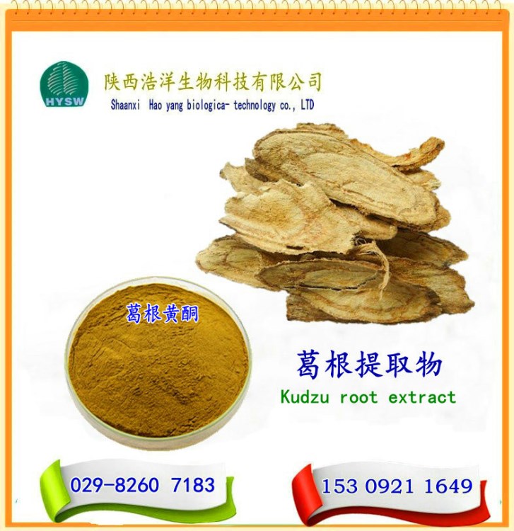 葛根 植物提取物 葛根提取物 葛根黃酮 現(xiàn)貨供應(yīng)  葛根圖片