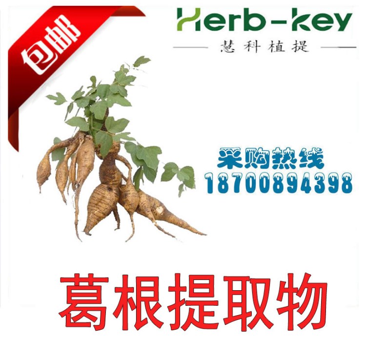 葛根提取物10：1 葛根黃酮 陜西慧科廠家供應 現貨包郵