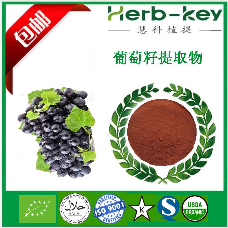 葡萄籽提取物 慧科生產(chǎn)現(xiàn)貨直銷 原花青素95% 包郵 歡迎訂購