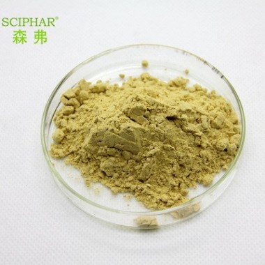 20%沙棘黃酮 森弗源頭廠家直銷 現(xiàn)貨供應(yīng) 沙棘提取物