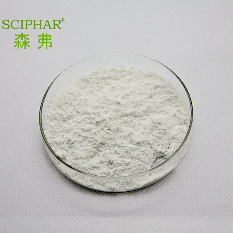 食品級30000u/g脂肪酶 廠家現貨供應 1公斤起批