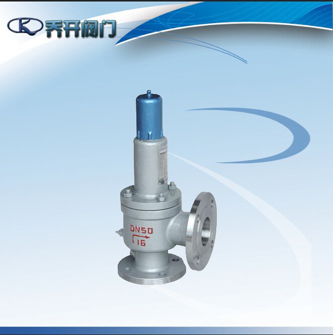 廠家出售 永一單向彈簧微啟式閥 DN25法蘭鑄鋼閥A47H-16C