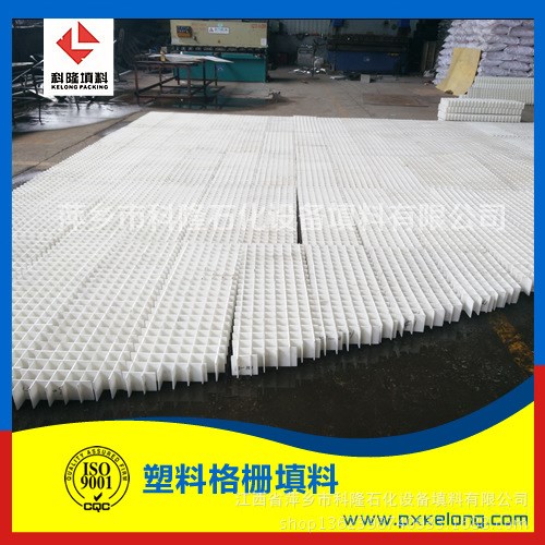 聚丙烯PP格柵支撐塑料塔內(nèi)件支承江西萍鄉(xiāng)隆生產(chǎn)廠家批發(fā)直銷