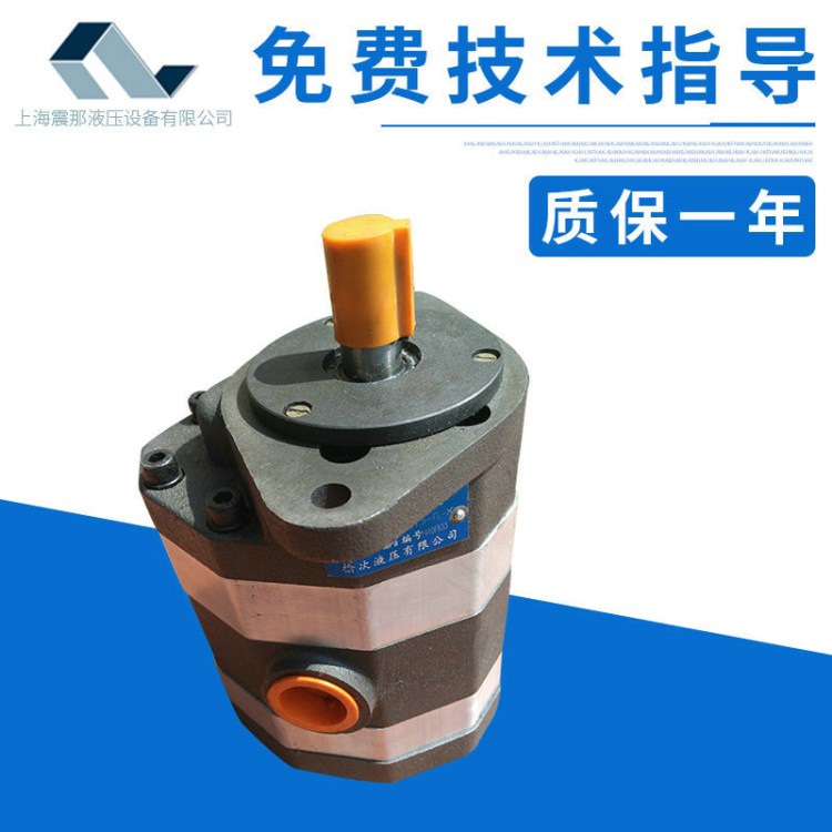 2CB-FC高壓雙聯齒輪泵 榆次產高壓大排量齒輪泵