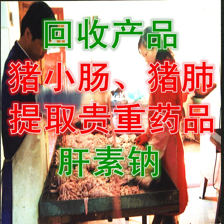 家庭致富項(xiàng)目小本創(chuàng)業(yè)商機(jī)小型辦廠在家加工豬小腸新技術(shù)轉(zhuǎn)讓辦廠