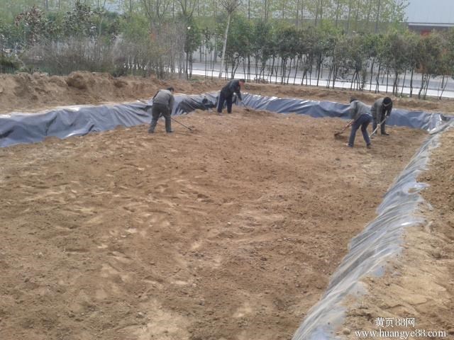 屋頂花園防滲膜 屋頂花園防水建筑防滲漏-HDPE土工膜-景觀工程用