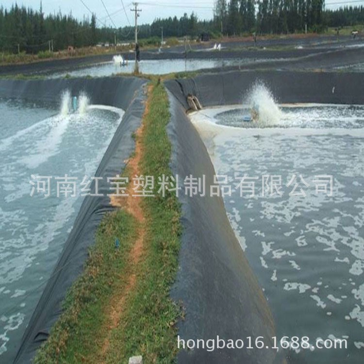 景觀魚塘養(yǎng)殖專用抗老化PE防滲漏膜 環(huán)保型藕池防滲膜 可批發(fā)定制