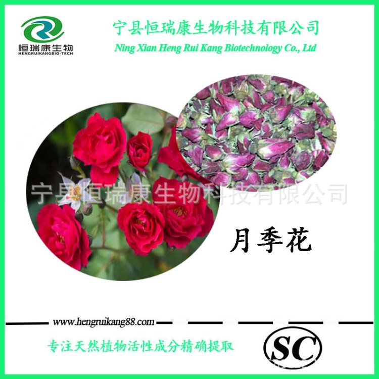 SC 廠家直銷 產(chǎn)品 植物提取 月季花提取物 10:1