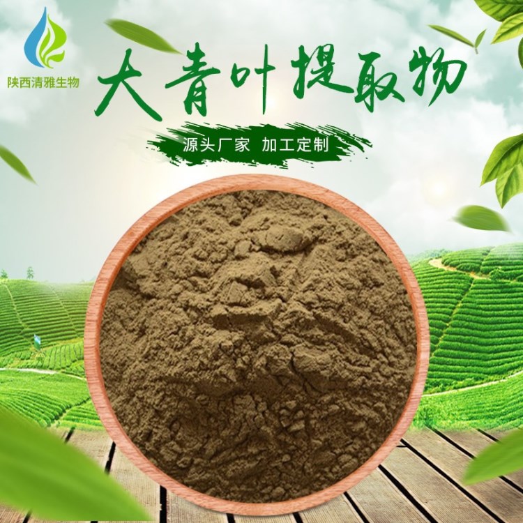 大青葉提取物 30:1 大青葉濃縮提取 含大青葉黃酮/多糖 現貨包郵