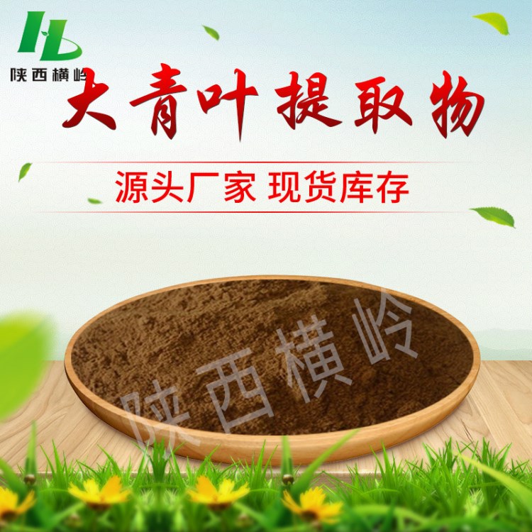 大青葉提取物 大青葉黃酮 橫嶺供應 多種規格 20:1大青葉植物提取