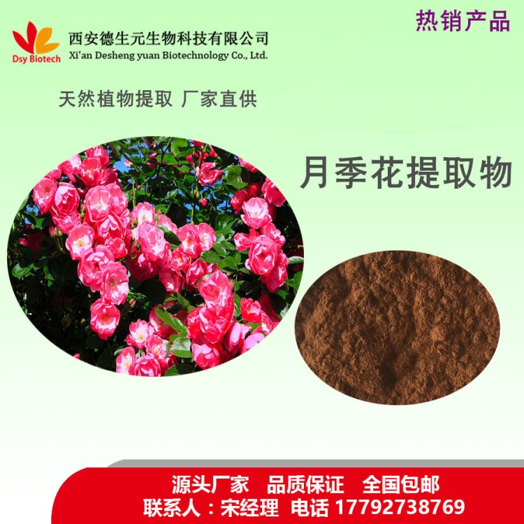 月季花提取物10:1 厂家直销 包邮 天然植物提取物 包邮 品质