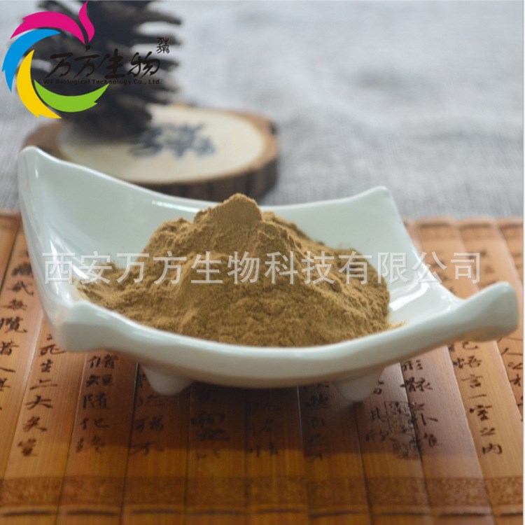 細辛提取物10：1 天然植物萃取細辛粉 廠家現(xiàn)貨批發(fā)細辛提取物