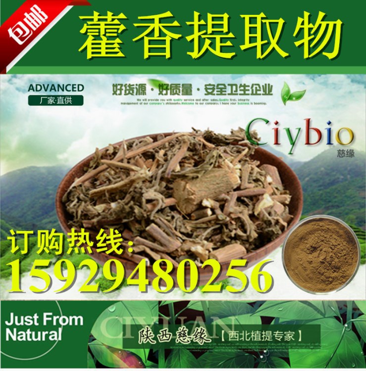 現(xiàn)貨供應(yīng)：藿香提取物 10：1 大葉薄荷提取物 排香草提取物