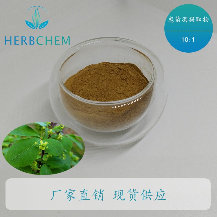 鬼箭羽提取物 衛(wèi)矛提取物 10：1 植物提取物 廠(chǎng)家供應(yīng)中