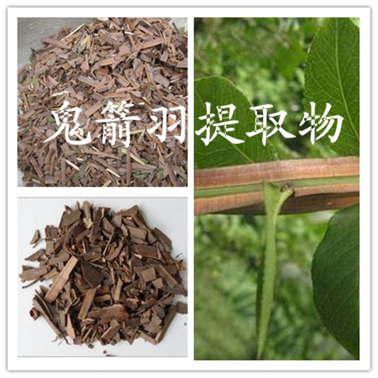 鬼箭羽提取物10:1 鬼箭羽粉 鬼箭羽濃縮提取液 廠家包郵