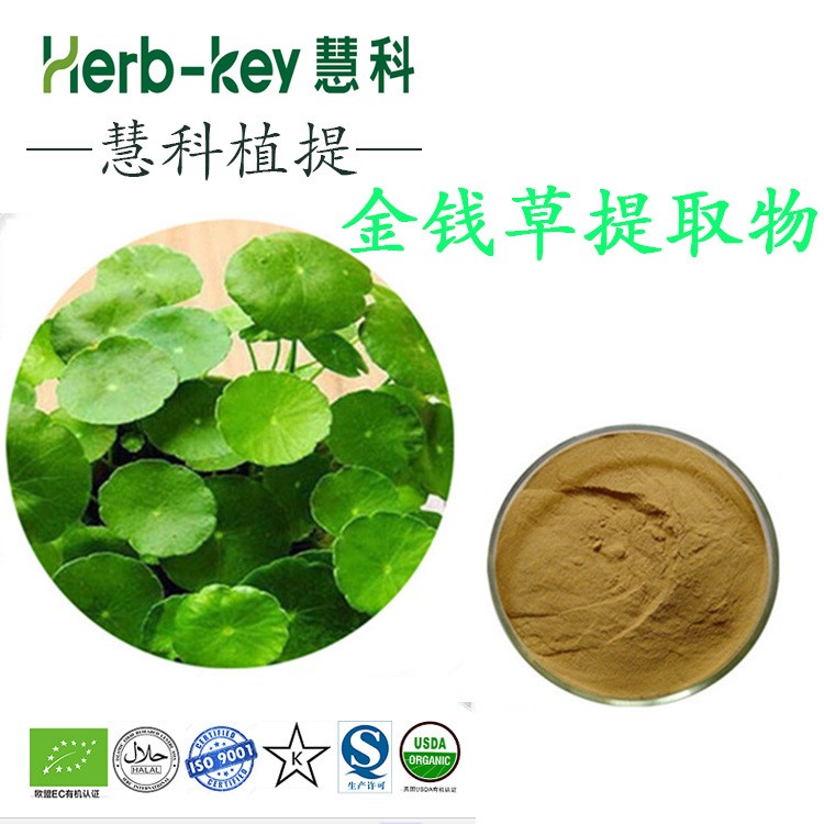 草提取物10:1 陜西慧科  廠家現貨直銷   量大從優 現貨包郵