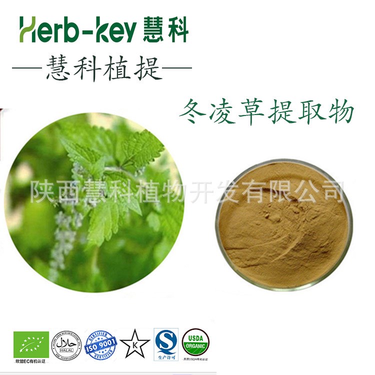 冬凌草提取物10:1  陜西慧科供應 廠家現貨直銷 量大從優 包郵