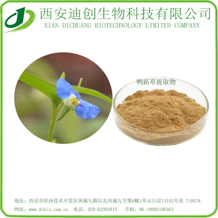 鴨跖草提取物 竹節(jié)菜提取物  耳環(huán)草提取物 現(xiàn)貨供應(yīng) 歡迎咨詢