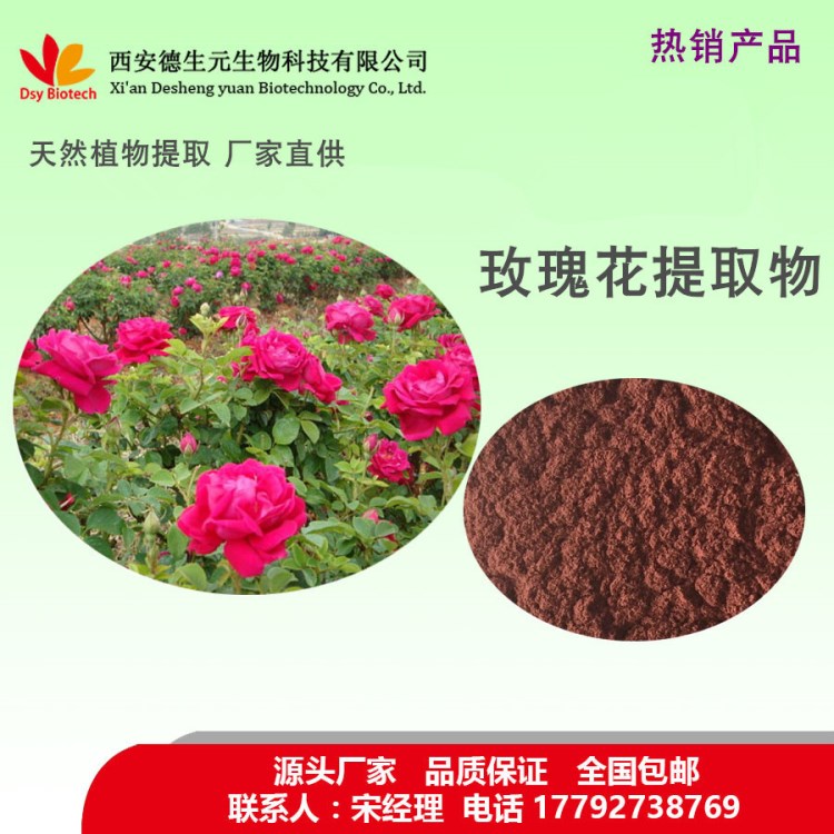 玫瑰花提取物10:1 廠家直供 玫瑰花粉 包郵 品質(zhì)