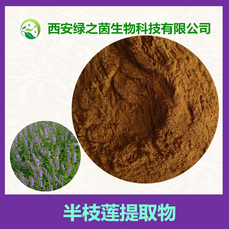 半枝蓮提取物 10：1 半枝蓮粉 趕山鞭  綠之茵生物現貨 牙刷草