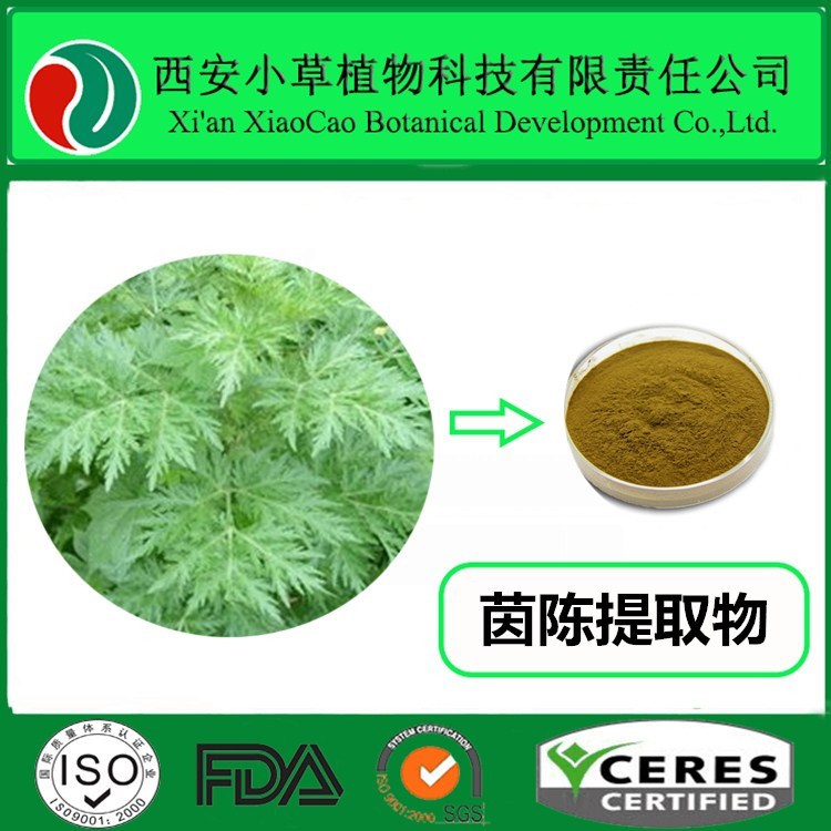 廠家現(xiàn)貨供應(yīng)茵陳提取物 茵陳粉大量現(xiàn)貨