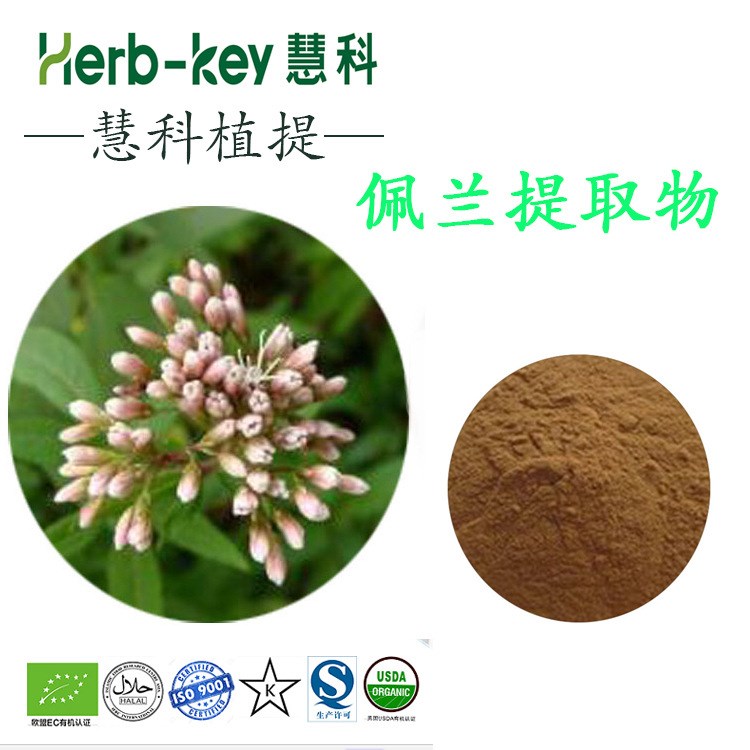 蘭佩蘭提取物 10:1 陜西慧廠家供應 二十年提取 現貨包郵
