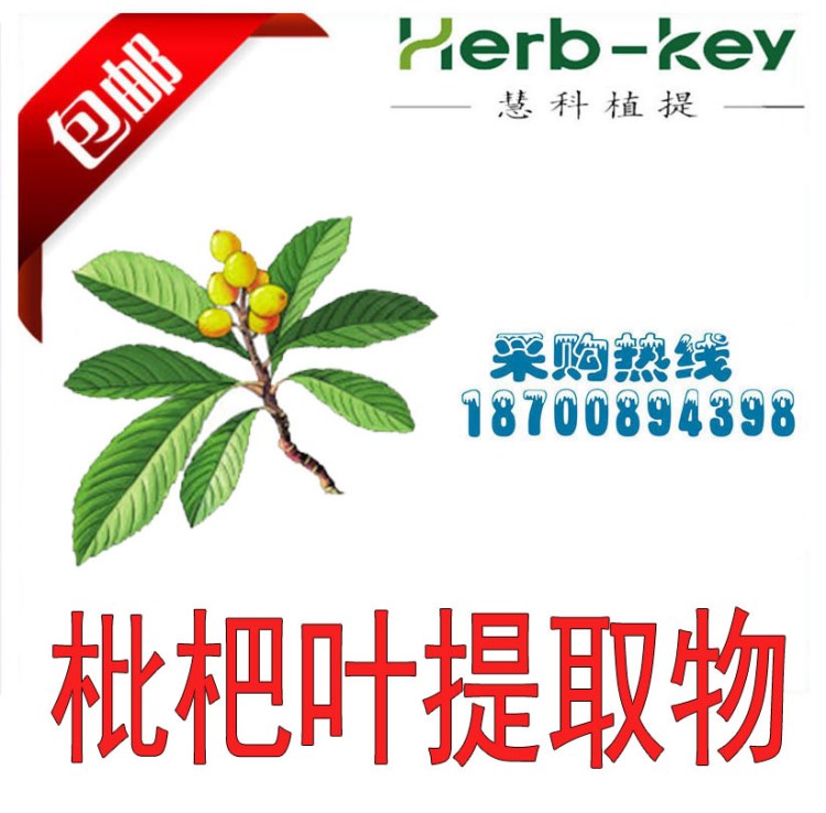 枇杷葉提取物10:1 陜西慧科 可代加工  歡迎參觀