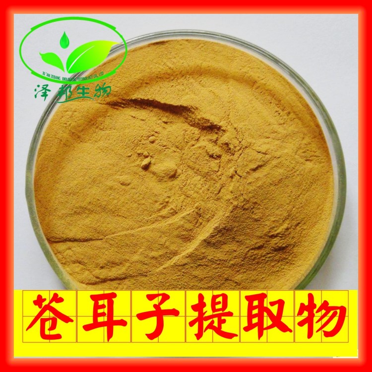 蒼耳子提取物  供應天然蒼耳子提取物 現貨直銷包郵