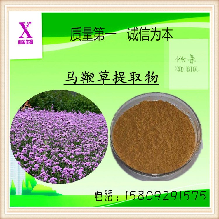 仙朵生物  馬鞭草提取物/狗牙草提取物  規(guī)格10:1   現(xiàn)貨包郵