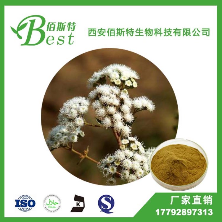 【現貨包郵】澤蘭提取物10:1 澤蘭提取物 廠家自銷 量大從優
