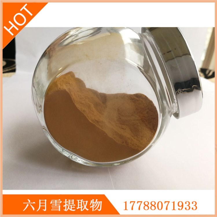 六月雪提取物 白馬骨提取物 路邊金提取物 量大從優(yōu)