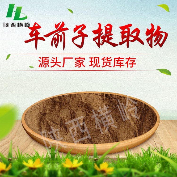 車前子提取物 30:1比例 車前子酸/車前子皂甙 現貨供應 量大優惠