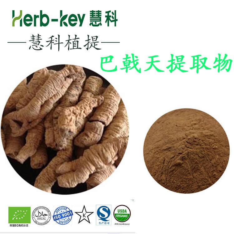 巴戟天提取物 10:1 慧科廠家現貨直銷   量大從優 現貨包郵