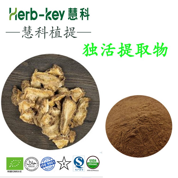 獨活提取物10:1 陜西慧科供應 廠家現貨直銷 量大從優 包郵