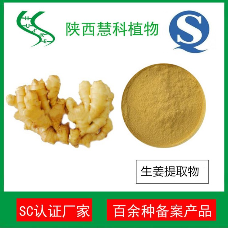 姜辣素5%  生姜提取物 SC實力廠家 陜西慧科植物 干姜提取物